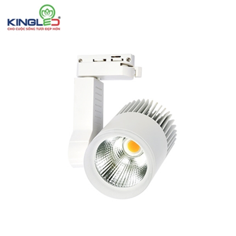 den-roi-ray-20w-2 Kingled - Thương hiệu uy tín hàng đầu Việt Nam