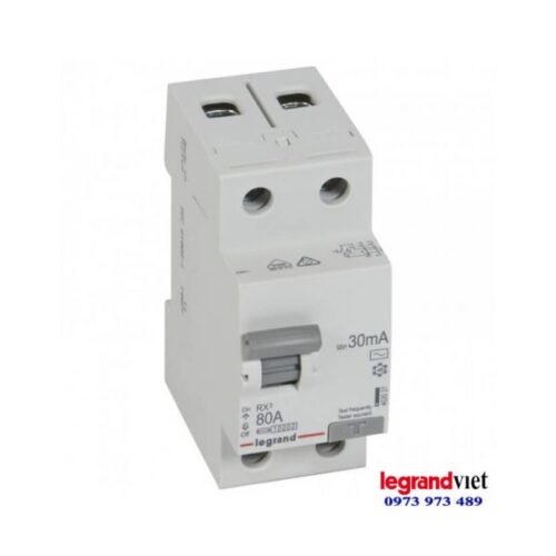 Aptomat chống giật 2P 80A 30mA