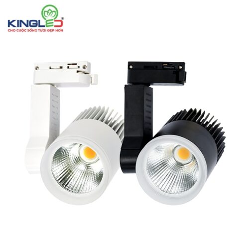 Đèn Rọi Ray 20W Beryl (DTL-20SS Series)